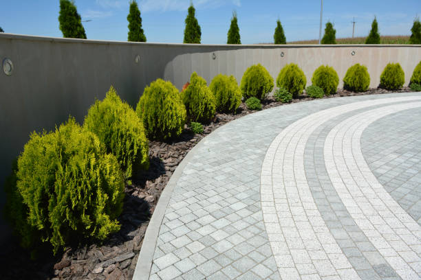 Trusted Forest Meadows, CA Driveway Pavers Experts